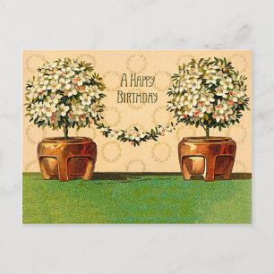 Bonne Anniversaire Vintage Pots de fleurs Carte po