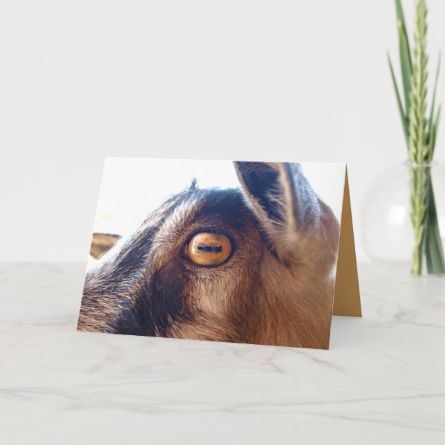 Bonne Anniversaire Vous Vieux Carte De Voix De Chè (Devant)