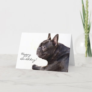 Bonne carte Bulldog Française Anniversaire