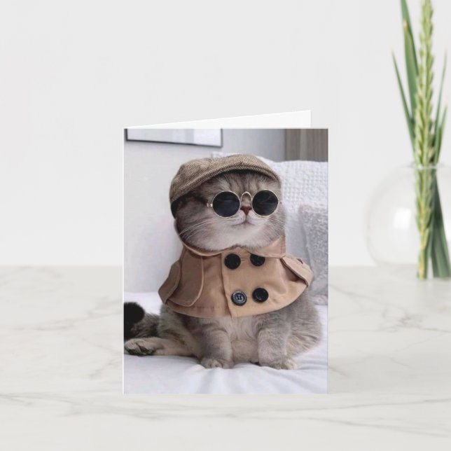 Bonne Carte Chat Cool Anniversaire Pour Tous (Devant)