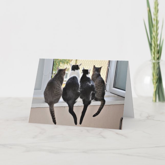 Bonne carte d'Amoureux des chats d'anniversaire (Devant)
