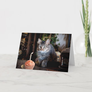 Bonne carte d'anniversaire avec chat