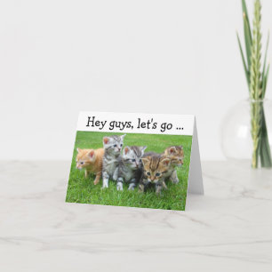 Bonne carte d'anniversaire avec des chatons : Allo