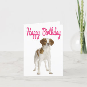 Bonne carte d'anniversaire Brittany Spaniel Chien 