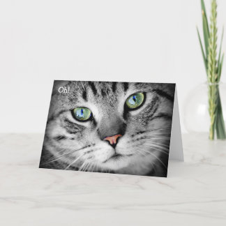 Bonne carte d'anniversaire : Chat dit "Oh !"
