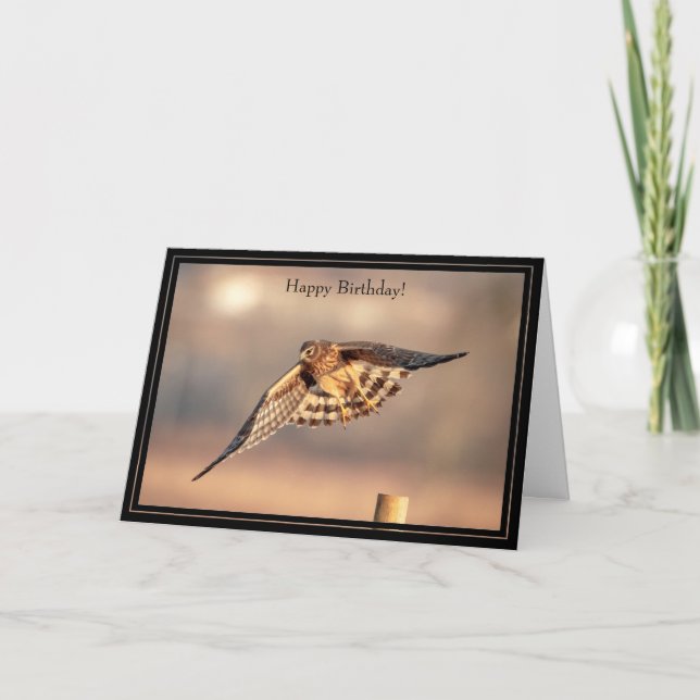 Bonne carte d'anniversaire Hawk de Harrier du Nord (Devant)