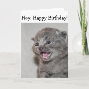 Bonne carte d'anniversaire : Kitten gris surpris