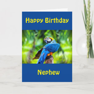 BONNE CARTE D'ANNIVERSAIRE "NEPHEW"