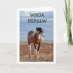 BONNE CARTE D'ANNIVERSAIRE "NEPHEW"