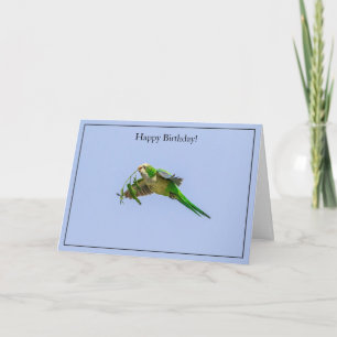 Bonne carte d'anniversaire Parakeet de moine