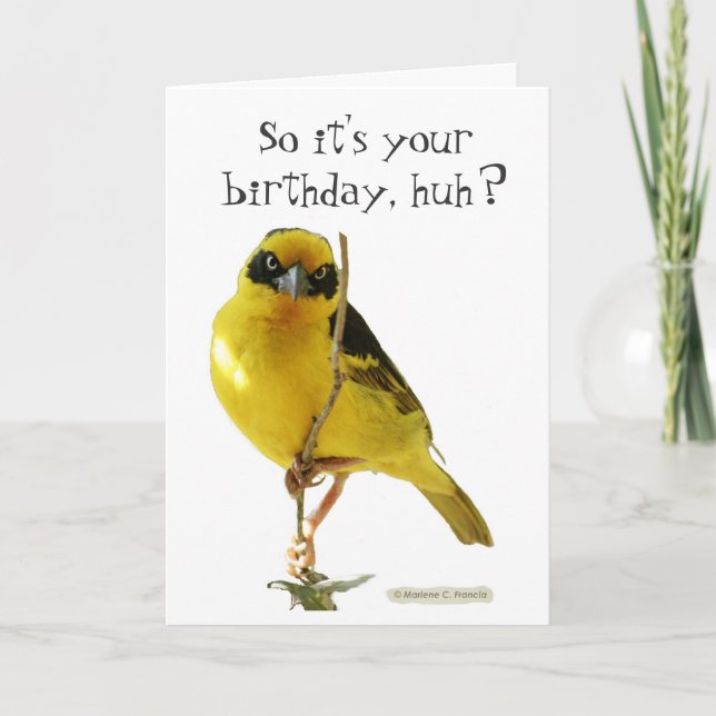 Bonne carte d'anniversaire (pour lui) par LOLBirds (Devant)