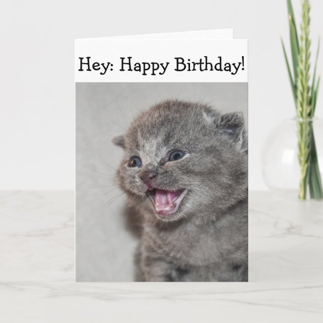 Bonne carte d'anniversaire : Surprised gris Kitten (Devant)