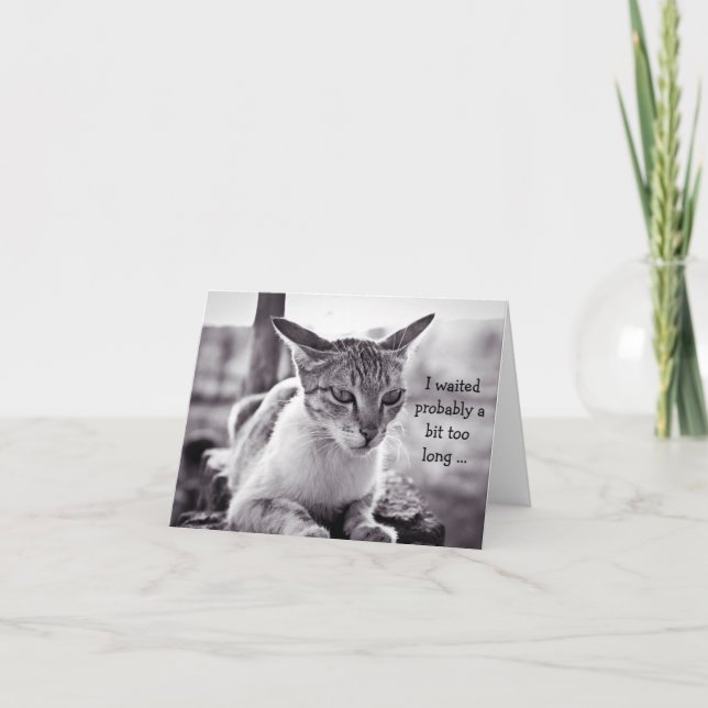 Bonne carte d'anniversaire (tardive) : Chat d'atte (Devant)