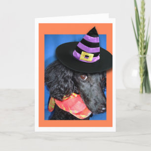 Bonne carte de caniche Casquette de la fête d'Hall