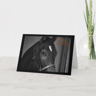 Bonne carte de cheval Anniversaire voeux Anniversa