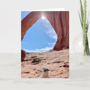 Bonne carte de chien de graduation   Lily le Carli