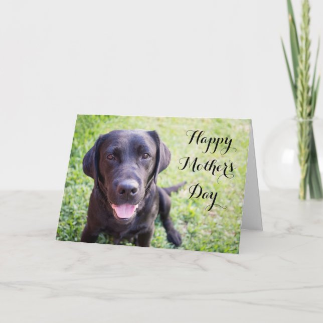 Bonne carte de fête des mères avec labrador noir (Devant)