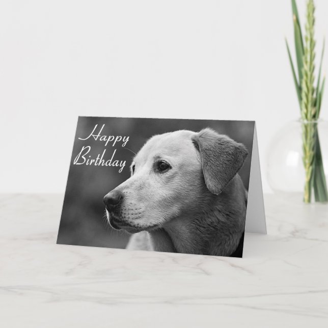 Bonne carte de marionnette d'anniversaire Labrador (Devant)