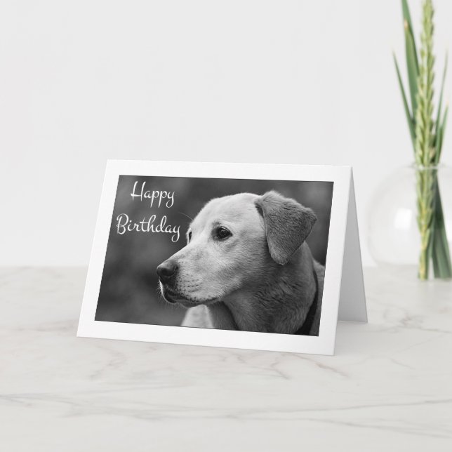 Bonne carte de marionnette d'anniversaire Labrador (Devant)