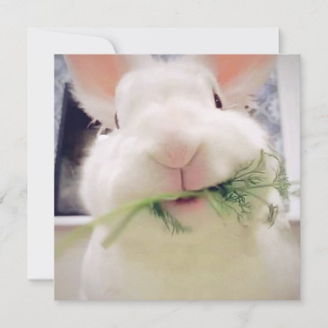 Bonne carte de vacances de Pâques (Devant)