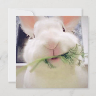 Bonne carte de vacances de Pâques