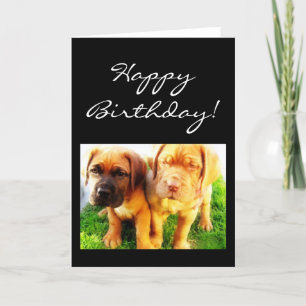Bonne carte de voeux Anniversaire Dogue de Bordeau