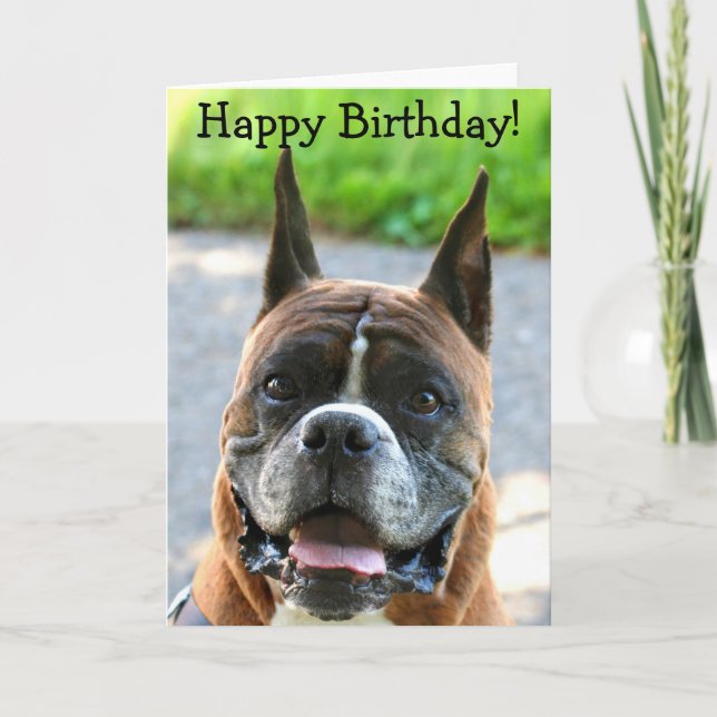 Bonne carte de voeux Birthday Boxer (Devant)