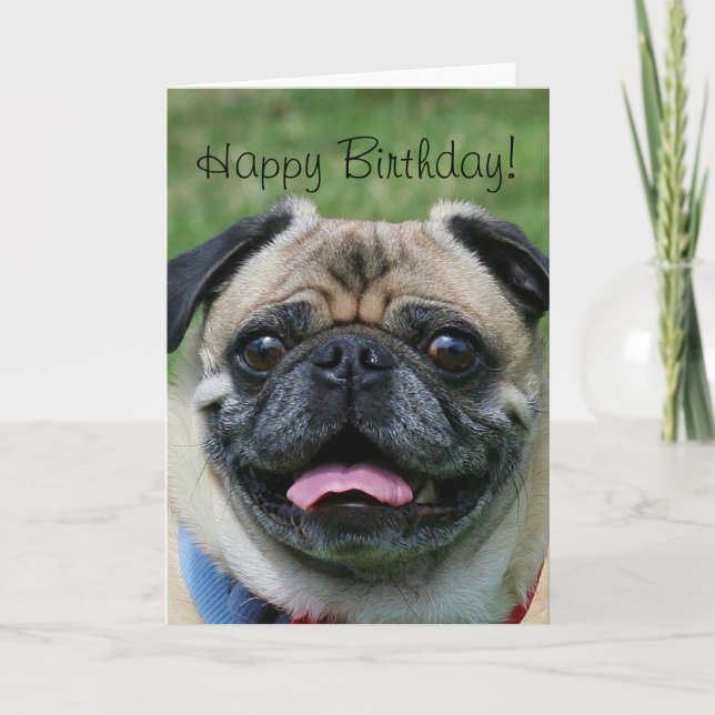 Bonne carte de voeux Carlin d'anniversaire (Devant)