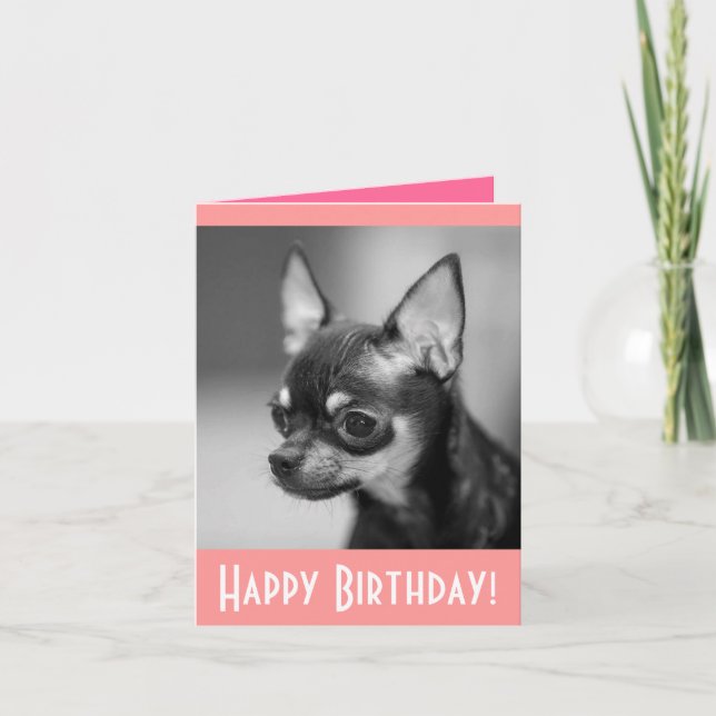 Bonne carte de voeux d'anniversaire Chihuahua Chio (Devant)