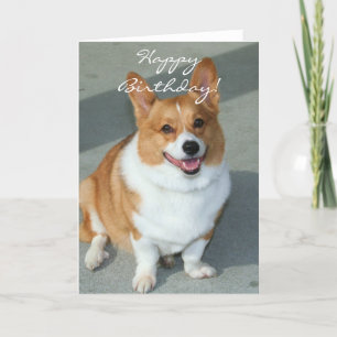 Bonne carte de voeux d'anniversaire Welsh Corgi