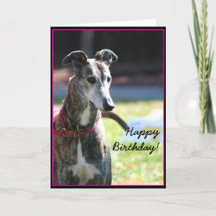 Bonne carte de voeux pour anniversaire Greyhound
