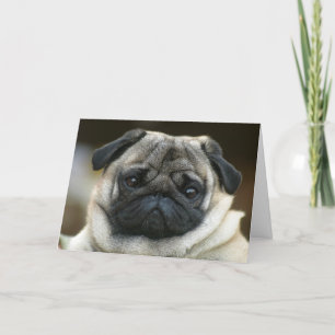 Bonne carte de voeux pour Carlin d'anniversaire Ch