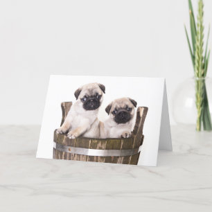 Bonne carte de voeux pour Carlin d'anniversaire Ch