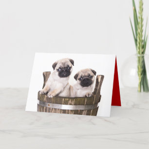Bonne carte de voeux pour Carlin d'anniversaire Ch