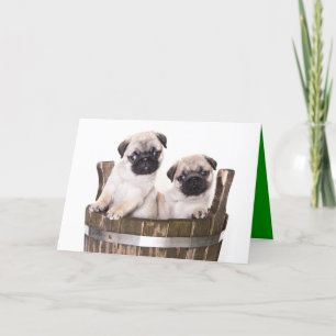 Bonne carte de voeux pour Carlin d'anniversaire Ch