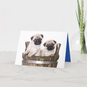 Bonne carte de voeux pour Carlin d'anniversaire Ch
