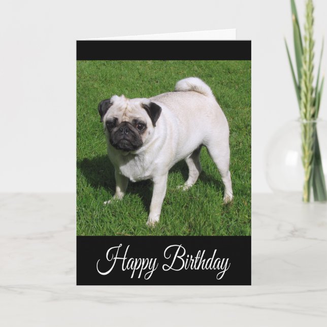 Bonne carte de voeux pour Carlin d'anniversaire Ch (Devant)