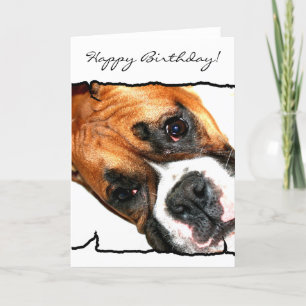 Bonne carte de voeux pour chien Birthday Boxer