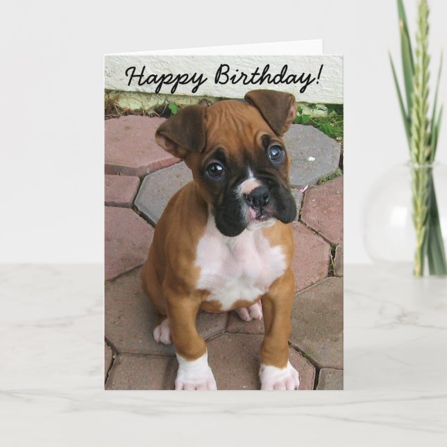 Bonne carte de voeux pour chiot Boxer anniversaire (Devant)