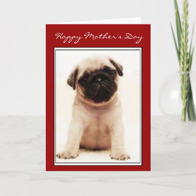Bonne carte de voeux pour chiot Carlin fête des mè (Devant)