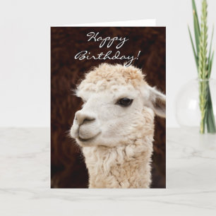 Bonne carte de voeux pour lama d'anniversaire