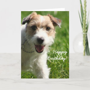 Bonne carte de voeux pour l'anniversaire Jack Russ