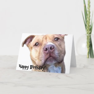 Bonne carte de voeux pour l'anniversaire Pitbull
