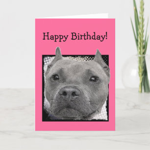 Bonne carte de voeux pour l'anniversaire Pitbull