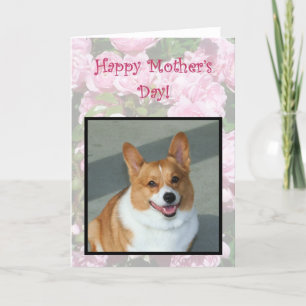 Bonne carte de voeux pour le Corgi gallois de la f