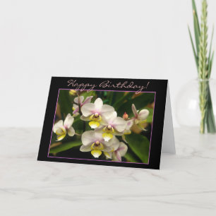 Bonne carte de voeux pour orchidée d'anniversaire