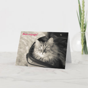 Bonne carte de voyage avec chat.
