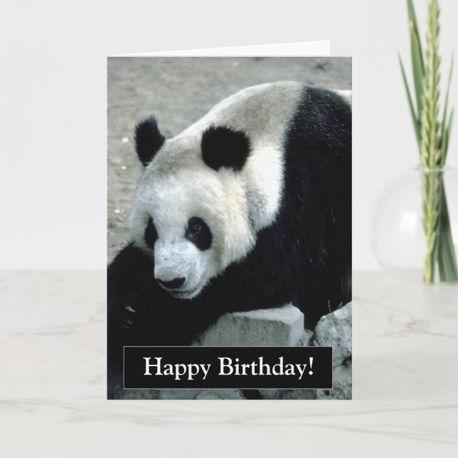 Bonne carte d'ours Panda Anniversaire (Devant)