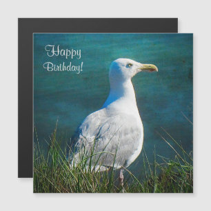 Bonne carte magnétique Seagull Anniversaire