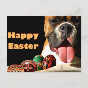 Bonne carte postale de chien de boîte de Pâques